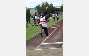 Finales LIFA de triathlon benjamins et minimes 