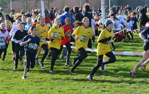 Championnat Ile De France de cross-country 2014