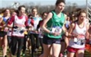 Championnat de France de cross 2014