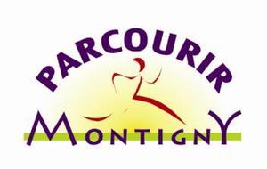 10 km de Montigny : Championnat des Yvelines