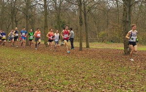 Cross de Cergy