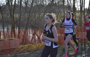 Départemental de cross 2015