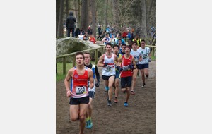 Championnat Ile De France de Cross 2015