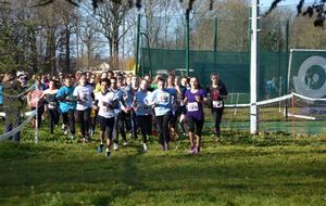 Les berges de Conflans,  trail de l’Origole et cross UNSS