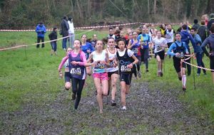 Championnat d’Ile de France de Cross-country 2016