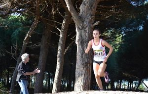 20 bornes d'Andresy et cross de Hyères