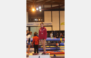 Championnat des Yvelines en salle de marche