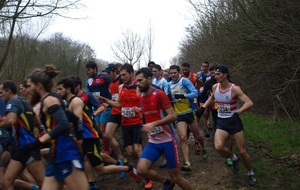 Régionaux IDF ouest de cross et du 3000m en salle