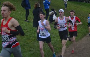 1/4 Finale de cross - Ile de France Zone Ouest