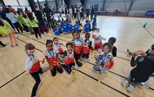  Finale départementale EA/PO indoor 2024