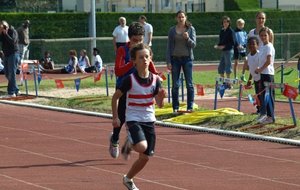 P6129275 (Copier).JPG