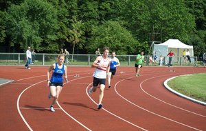 P6129282 (Copier).JPG