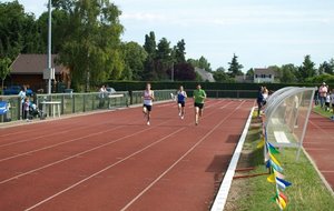 P6129286 (Copier).JPG