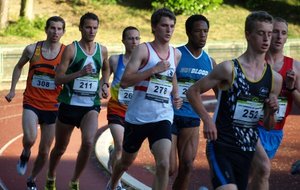 P5258783 (Copier).JPG