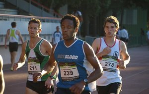 P5258787 (Copier).JPG