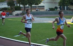 P5258796 (Copier).JPG