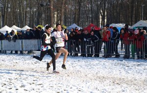 P2121799 (Copier).JPG