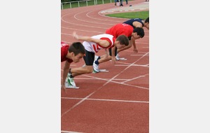 Curtis sortie des starts