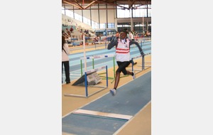 Estelle à la longueur