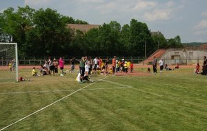 IMGP1451 [1600x1200].JPG