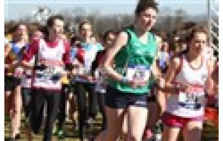 Championnat de France de cross 2014