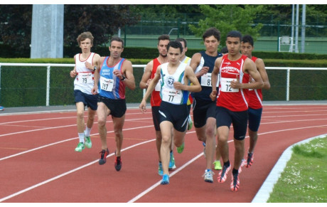 Meeting Fungana 2014