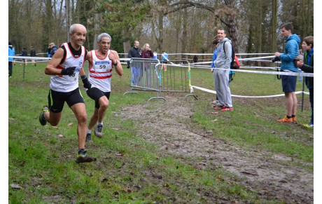 Championnat Départemental de Cross 2016