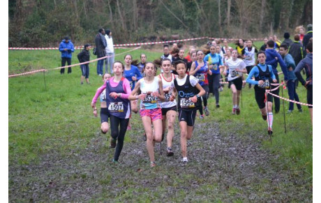 Championnat d’Ile de France de Cross-country 2016
