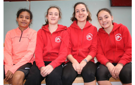 TRIATHLON en salle FINALES Départementales à Eaubonne le 26 mars 2016