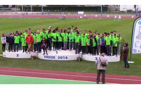 Jeune juge Certification Nationale à DREUX