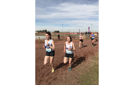 Championnats de France de cross 2017 à Saint Galmier