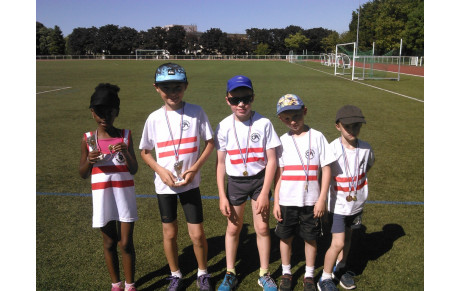 Triades Ea Po sartrouville