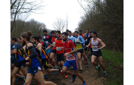 Régionaux IDF ouest de cross et du 3000m en salle
