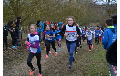 Week-end du 13 janvier 2019